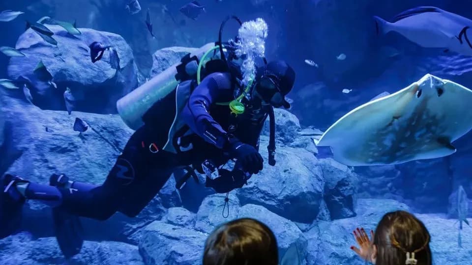 Marassi Aquarium & Underwater Zoo Tickets - Image 1
